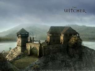 Картинка видео игры the witcher