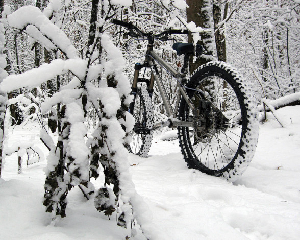 Обои картинки фото спорт, велоспорт