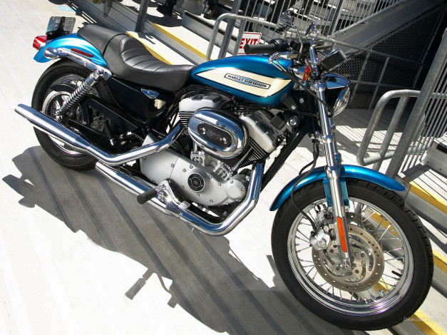 Обои картинки фото мотоциклы, harley, davidson