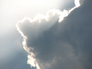 Картинка природа