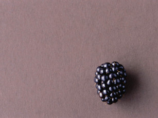 Картинка еда ежевика