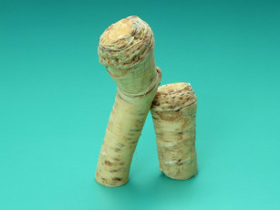 Картинка еда овощи