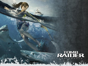 Картинка видео игры tomb raider underworld