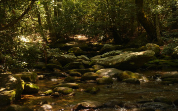 Картинка природа реки озера