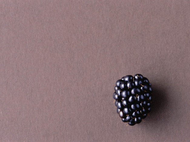 Обои картинки фото еда, ежевика