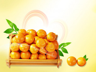 Картинка еда цитрусы