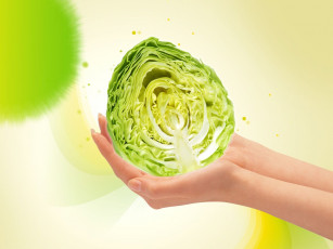 Картинка еда капуста её разновидности