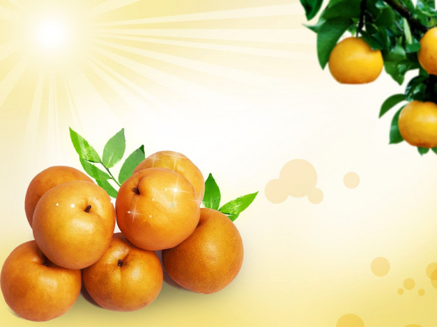 Обои картинки фото еда, фрукты, ягоды