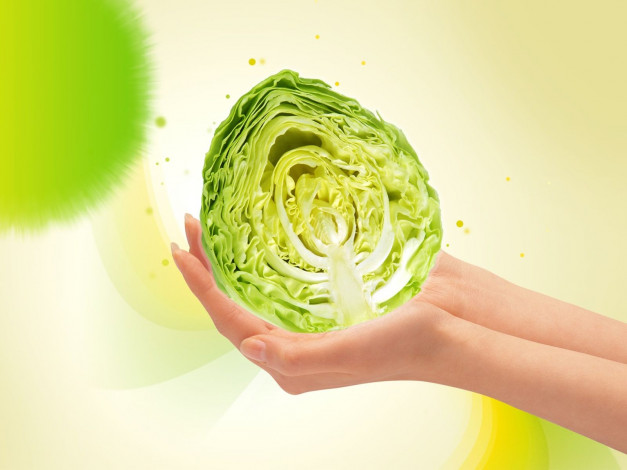 Обои картинки фото еда, капуста, её, разновидности