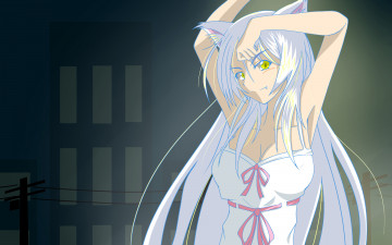 Картинка аниме bakemonogatari hanekawa+tsubasa дом девушка платье ушки кошка лента бант