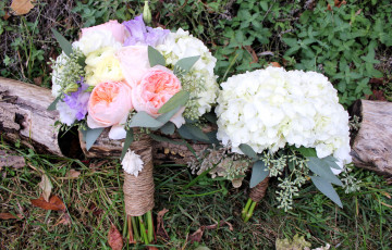 Картинка цветы букеты композиции