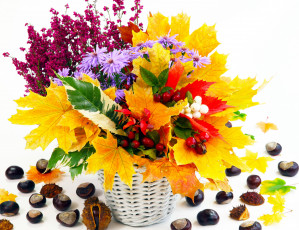 Картинка цветы букеты композиции осенний букет корзинка астры листья каштаны