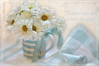 Картинка цветы хризантемы букет