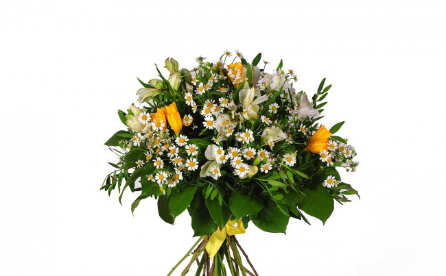 Обои картинки фото цветы, букеты, композиции, салал, пистация, альстромерия, фрезия, танацетум