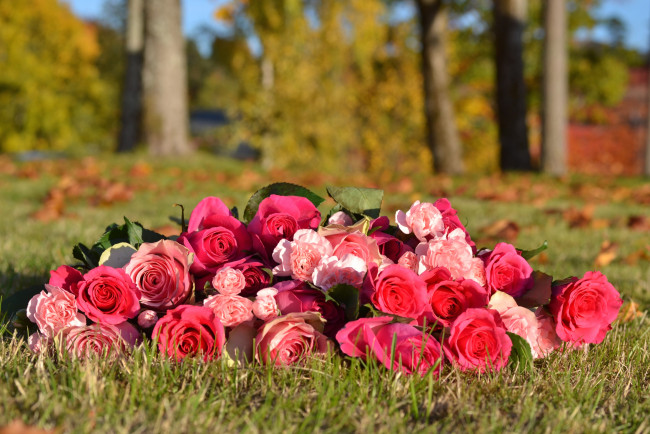 Обои картинки фото цветы, разные, вместе, розы, гвоздики, охапка