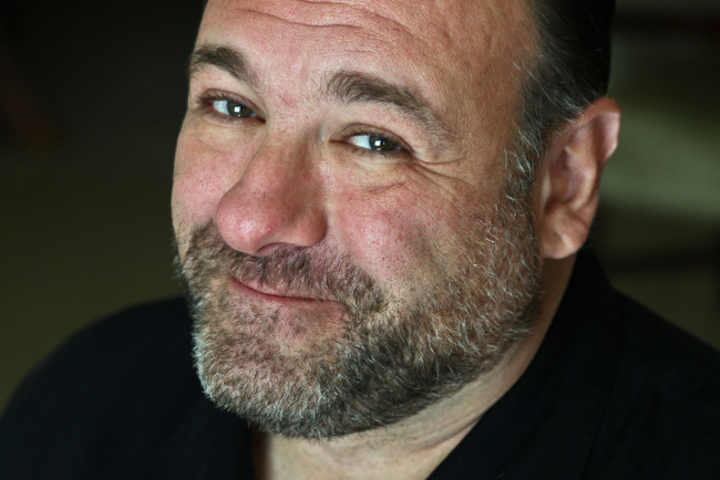 Обои картинки фото james, gandolfini, мужчины