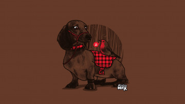 Картинка рисованное минимализм птица птичка пес такса собака