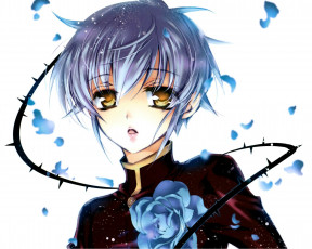обоя аниме, kiss of rose princess, aya, shouoto, белый, фон, лепестки, голубые, волосы, шипы, art, seiran, asagi, kiss, of, rose, princess