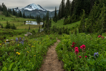 Картинка природа дороги река лес горы