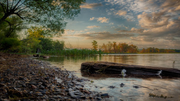 Картинка природа реки озера река лес