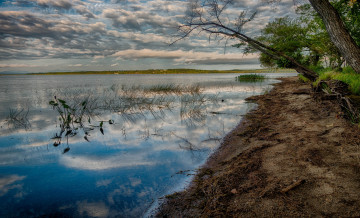 Картинка природа реки озера река лес