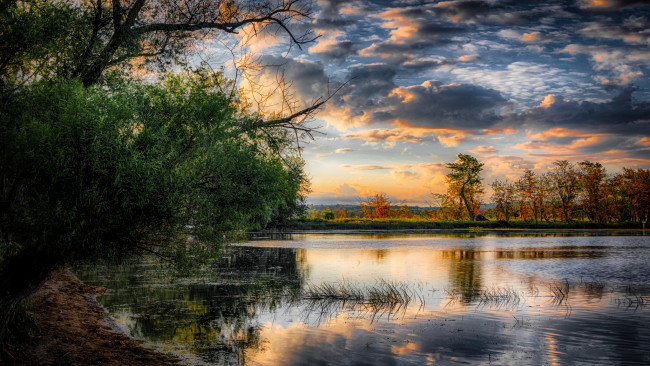 Обои картинки фото природа, реки, озера, река, лес