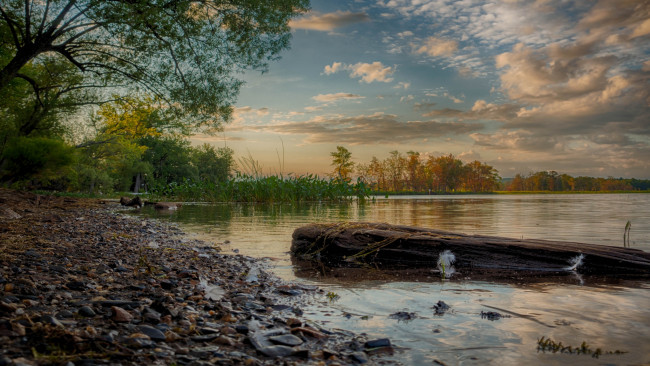 Обои картинки фото природа, реки, озера, река, лес