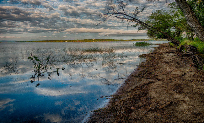 Обои картинки фото природа, реки, озера, река, лес