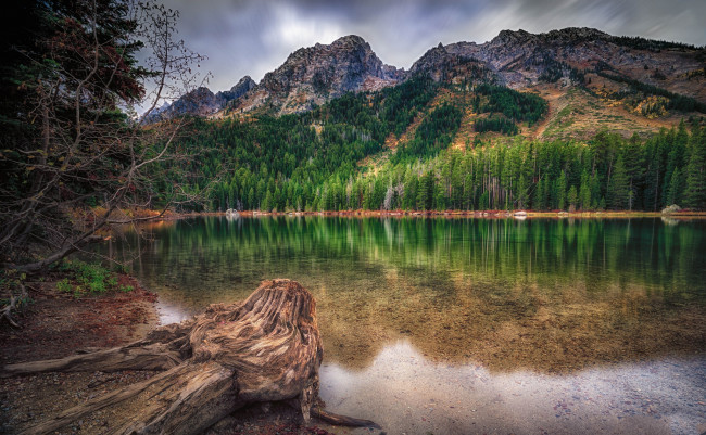 Обои картинки фото природа, реки, озера, река, лес