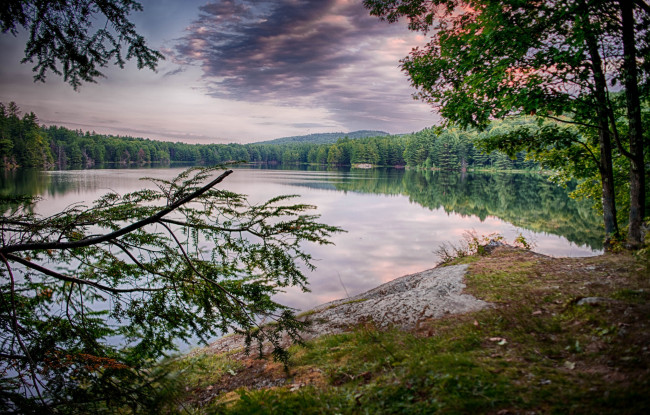 Обои картинки фото природа, реки, озера, река, лес