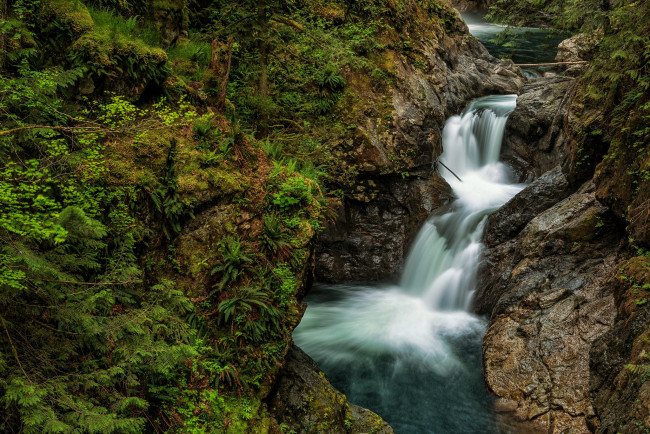 Обои картинки фото природа, водопады, лес, водопад, река