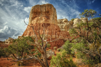 Картинка природа пустыни скала