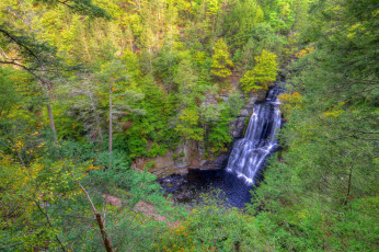 Картинка природа водопады лес река водопад