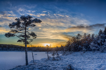 Картинка природа зима снег