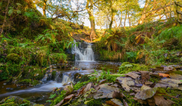 Картинка природа водопады лес река водопад