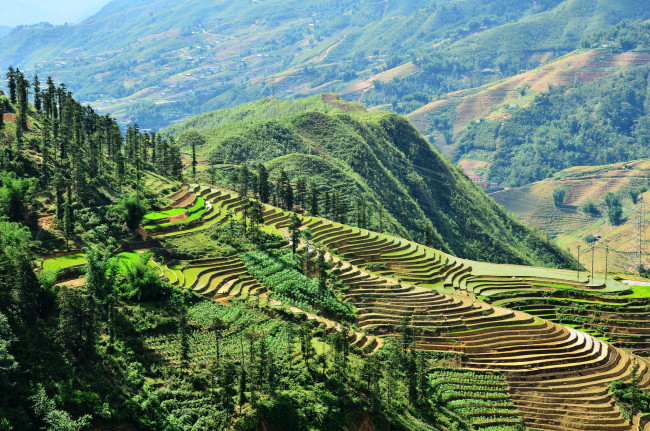 Обои картинки фото природа, горы, скалы