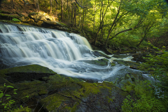 Обои картинки фото природа, водопады, лес, река, водопад