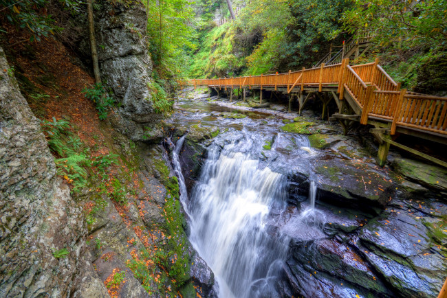 Обои картинки фото природа, водопады, лес, река, водопад