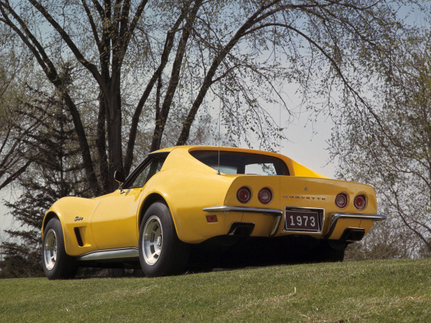 Обои картинки фото автомобили, corvette