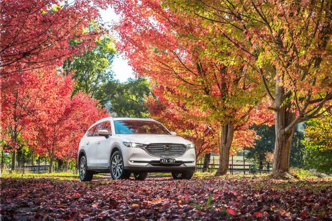 Обои картинки фото автомобили, mazda