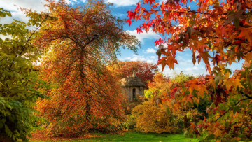 обоя города, - католические соборы,  костелы,  аббатства, деревья, осень, часовня