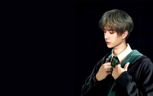 Обои картинки фото мужчины, wang yi bo, ван, ибо, мантия, слизерин, галстук, кольцо