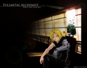 Картинка аниме fullmetal alchemist
