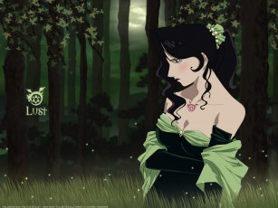 Картинка аниме fullmetal alchemist