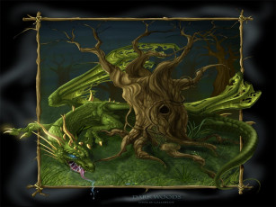 Картинка фэнтези драконы