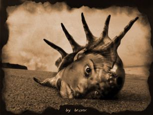 Картинка фэнтези другое