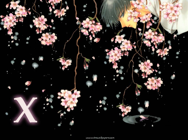 Обои картинки фото аниме