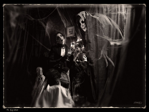 Обои картинки фото фэнтези, красавицы, чудовища