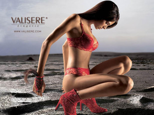 Картинка бренды valisere