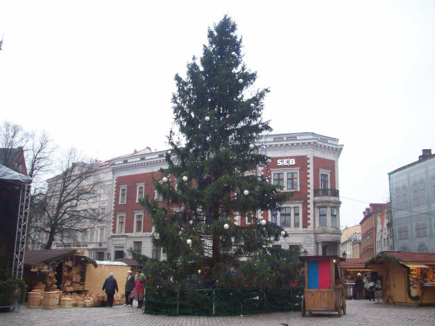 Обои картинки фото рига, на, заднем, плане, цветочная, улица, где, ездил, штирлиц, города, латвия